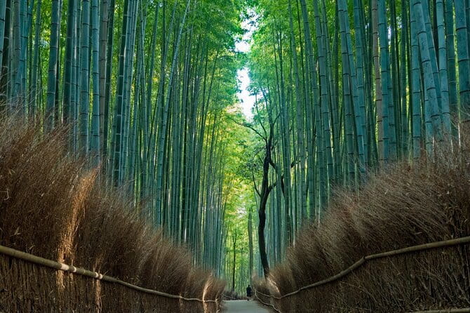 From Osaka or Kyoto: Kyoto and Nara 1-Day Bus Tour - Arashiyama and the bamboo-grove question