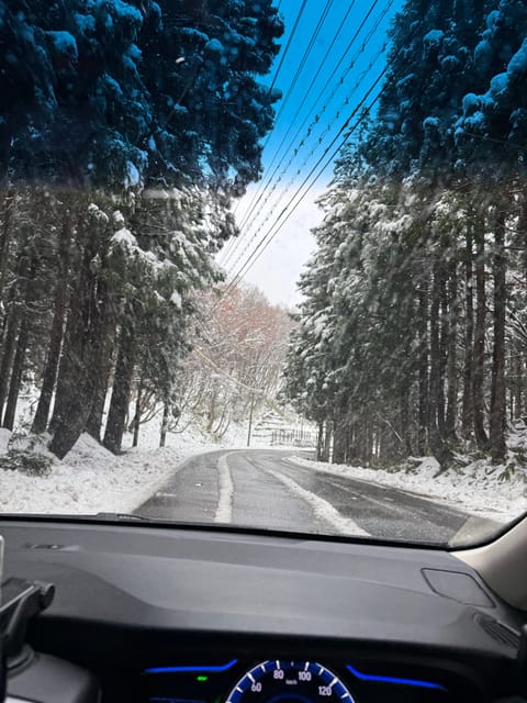 From Osaka or Kyoto: Private Shirakawa-go and Takayama Trip - Why a private van makes Shirakawa-go possible
