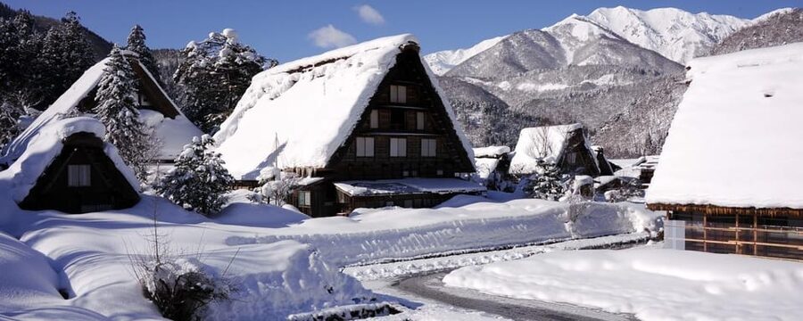 From Osaka or Kyoto: Private Shirakawa-go and Takayama Trip - Gassho-Zukuri Minka-en: an open-air introduction
