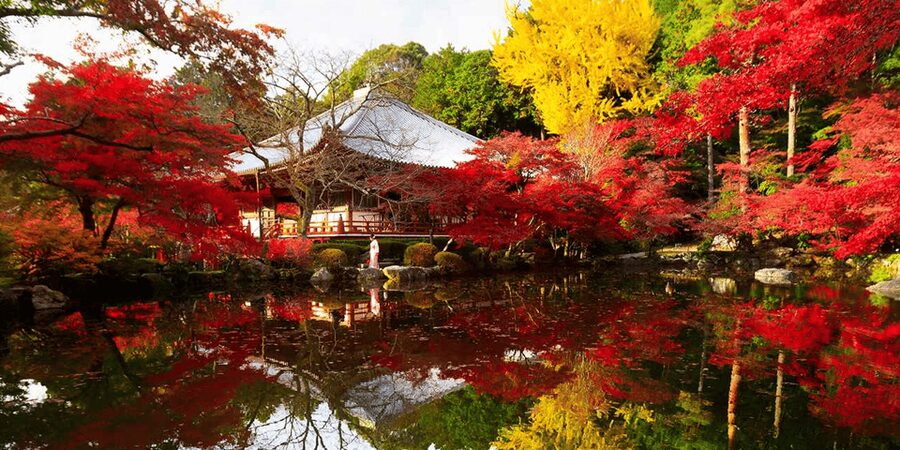 From Osaka: Private Customized Day Tour to Kyoto - Lunch is your own choice and your own bill