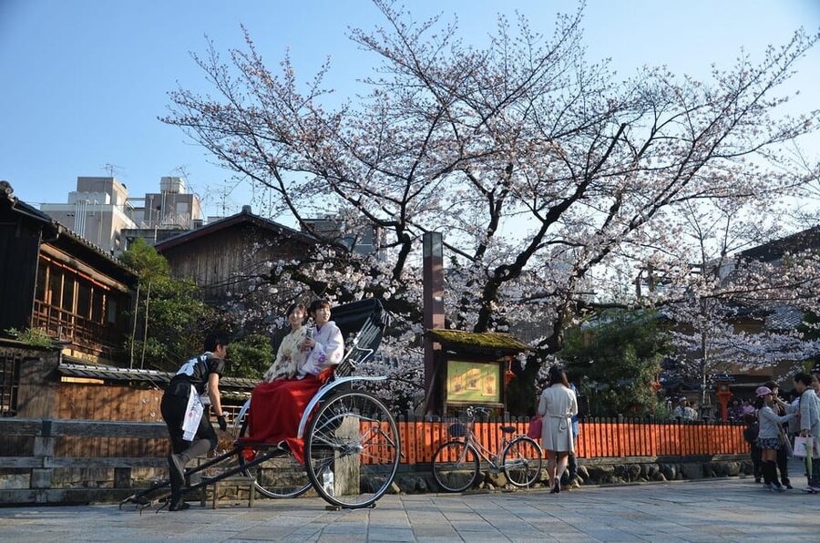 From Osaka: Private Customized Day Tour to Kyoto - Yasaka Shrine adds a compact cultural stop