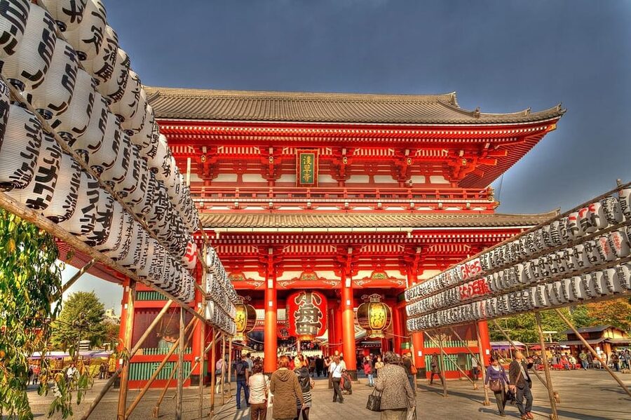 From Osaka: Private Customized Day Tour to Kyoto - The driver matters more than the word guide