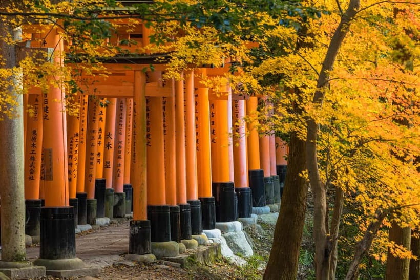 From Osaka: Sagano Train Ride and Kyoto Guided Day Tour - Key points to know before booking