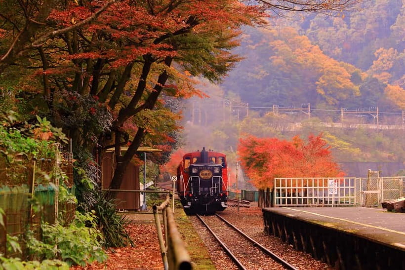 From Osaka: Sagano Train Ride and Kyoto Guided Day Tour - A big Kyoto day for $66