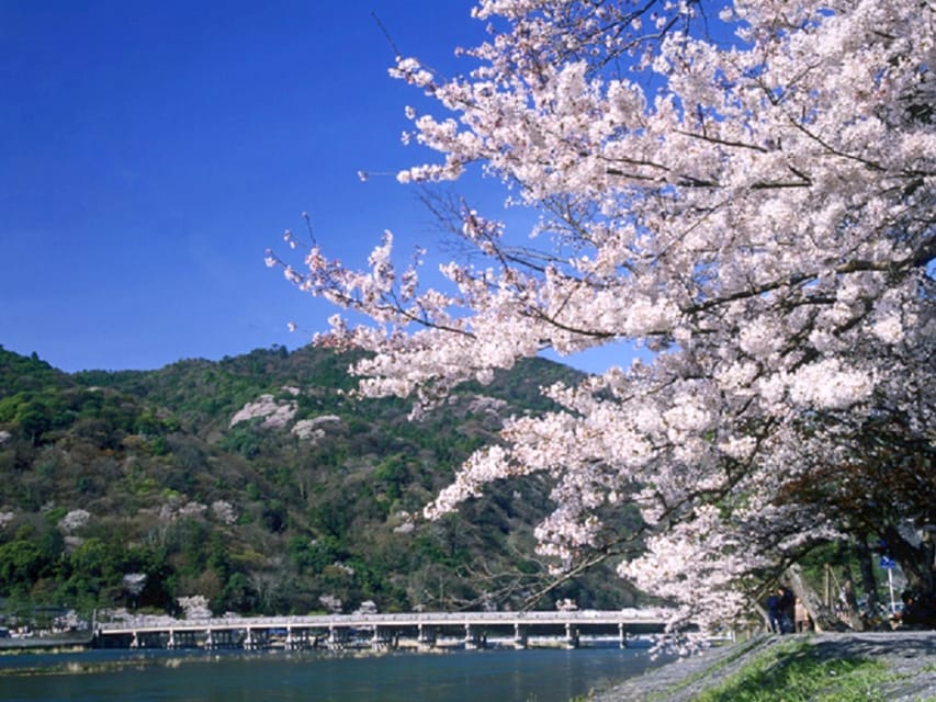 From Osaka: Sagano Train Ride and Kyoto Guided Day Tour - Arashiyama bamboo and the Katsura River