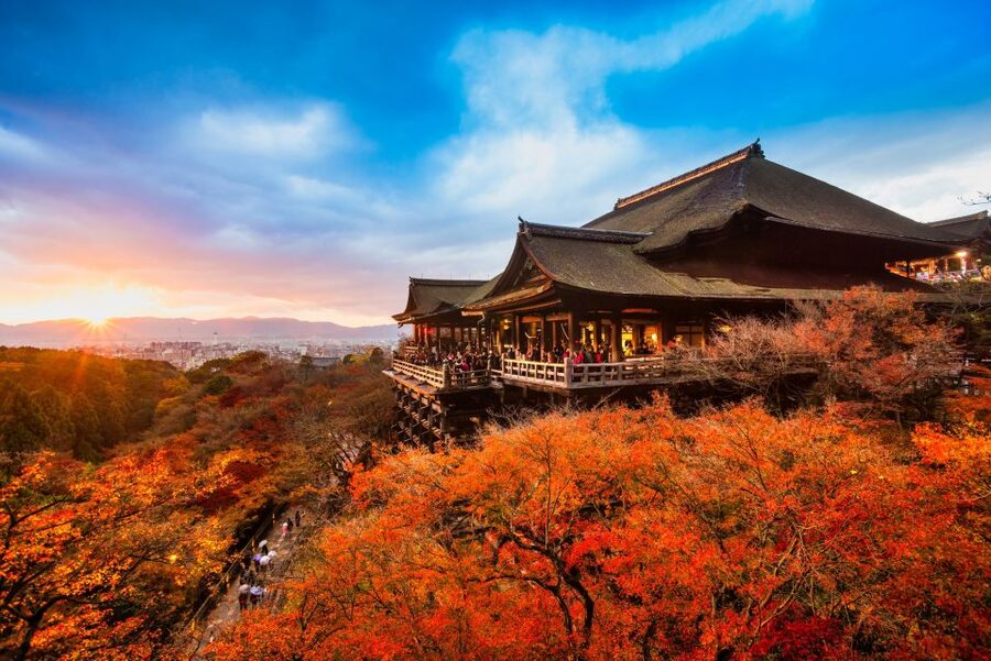 From Osaka: Sagano Train Ride and Kyoto Guided Day Tour - The Sagano Romantic Train beside the Hozugawa River