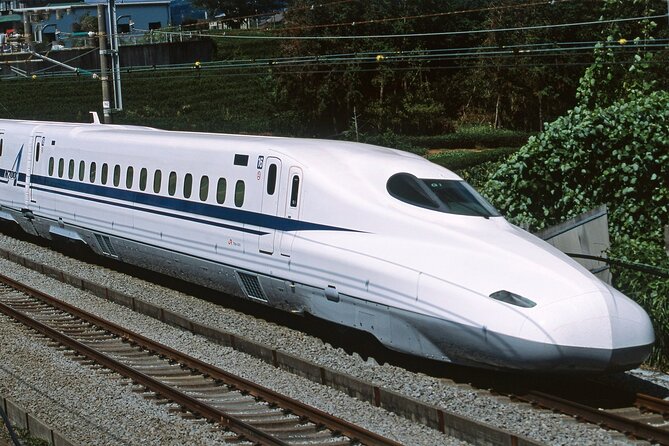 From Tokyo 1-Day Kyoto English-guided Tour by Bullet Train - Sanjusangen-do Hall and Its 1,001 Kannon Figures