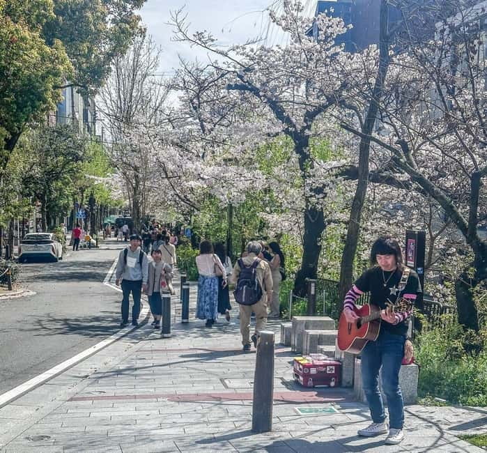 From Tokyo: Kyoto, Mount Fuji, and Hiroshima Guided Tour - What a group of five changes