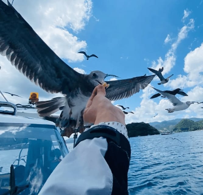 FromOsaka/Kyoto: Hiroshima & Miyajima Private Tour - Why this Hiroshima pairing works so well