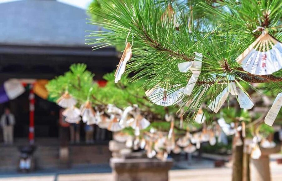 FromOsaka/Kyoto: Hiroshima & Miyajima Private Tour - Who will enjoy this tour most?