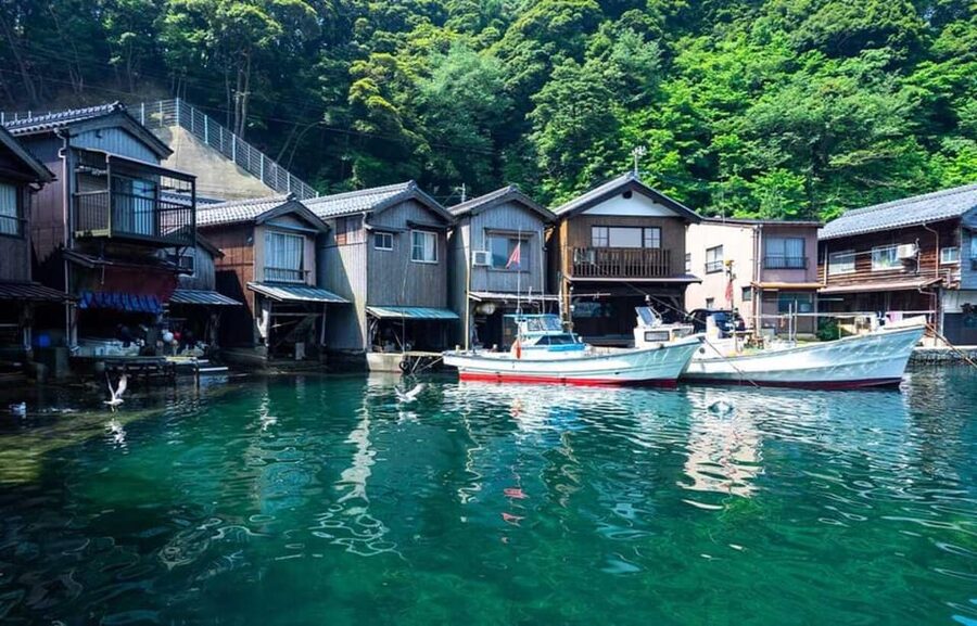 FromOsaka/Kyoto: Hiroshima & Miyajima Private Tour - Should you book this Hiroshima and Miyajima tour?
