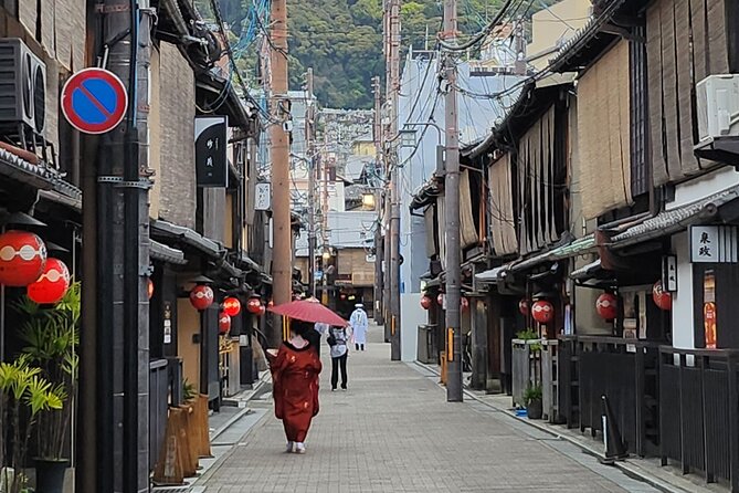 Full Day Guided Tour to Kyoto and Nara from Osaka by Van - The van ride, guide style, and group pace