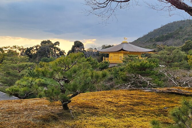 Full Day Guided Tour to Kyoto Arashiyama from Osaka by Van - What $114.01 Buys You