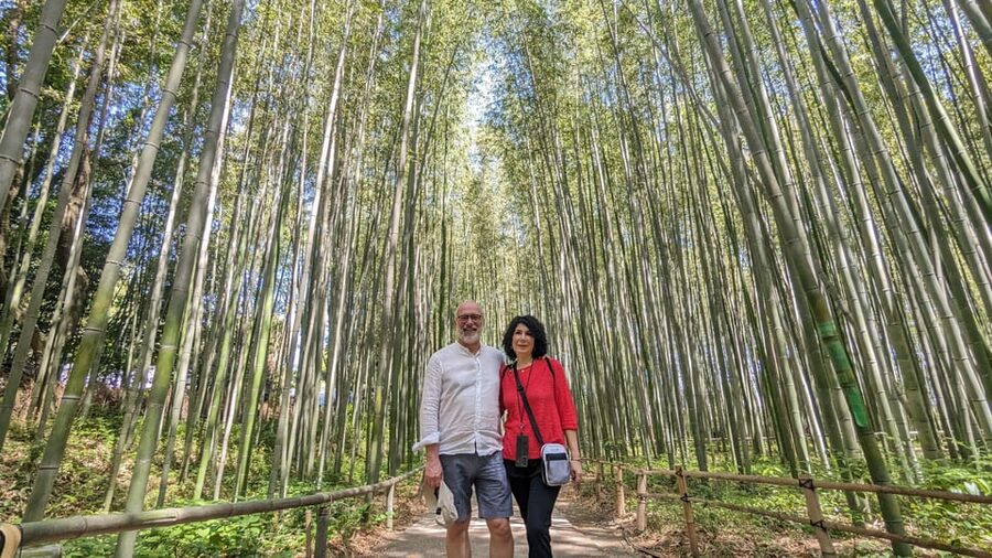 Full-Day Kyoto Walking Tour: Most Iconic Landmarks & Monkeys - Tenryuji Temple and its garden