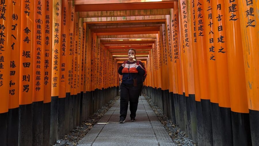 Full-Day Kyoto Walking Tour: Most Iconic Landmarks & Monkeys - Climbing to Iwatayama Monkey Park