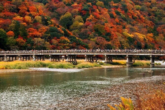 Full Day Tour of Kyoto with Private Transportation - What the private transport adds