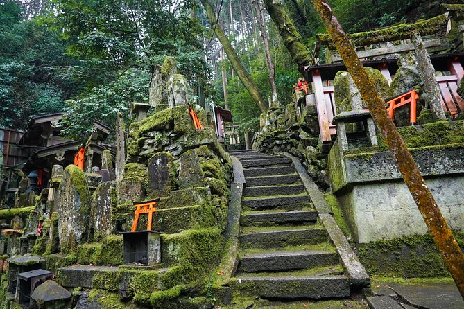 Fushimi Inari Hidden Hiking Tour (Private Option Available) - What the small group adds