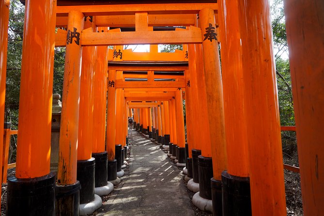 Fushimi Inari Hidden Hiking Tour (Private Option Available) - From Tofukuji toward the forest