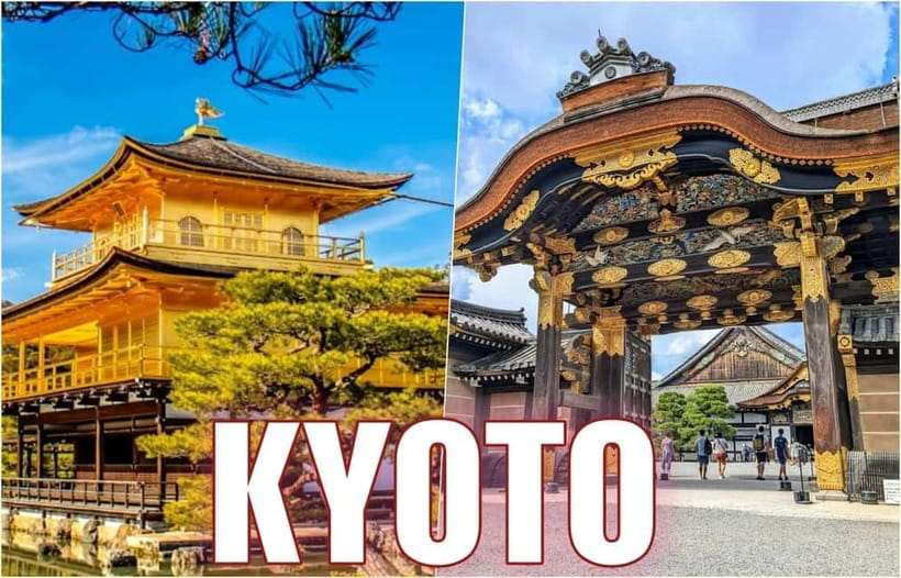 Golden Pavilion, Nijo Castle, & Nishiki Market Half day tour - Key points to know before booking