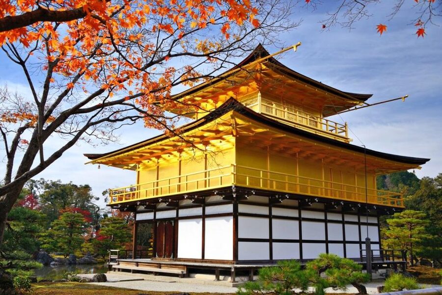 Golden Pavilion, Nijo Castle, & Nishiki Market Half day tour - From Kyoto Station to the Golden Pavilion