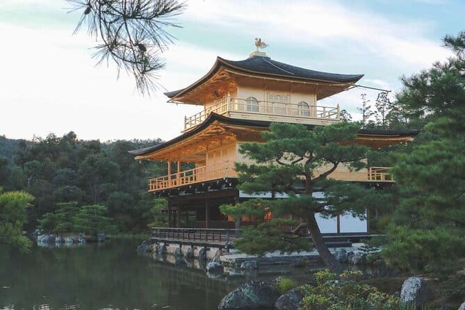 Guided Kyoto City Cherry Blossom One Day Private Tour - Why this private Kyoto plan works