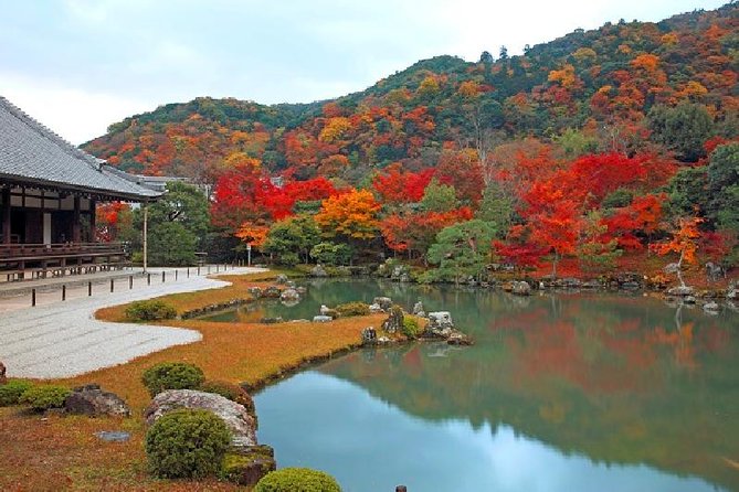 Half Day Kyoto Sagano Bamboo Grove & Arashiyama Walking Tour - Why this Kyoto half-day works