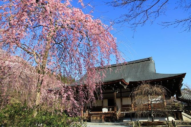 Half Day Kyoto Sagano Bamboo Grove & Arashiyama Walking Tour - From Kyoto Station to Saga-Arashiyama