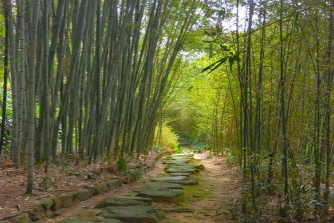 Hidden Bamboo gem and Japanese foods in Izakaya Private Tour - Meeting at Ōmiya Station