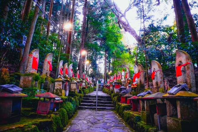Hidden Gems of Osaka Kyoto Nara - Private Car Tour by Local Guide - Daiki’s role in making the day work