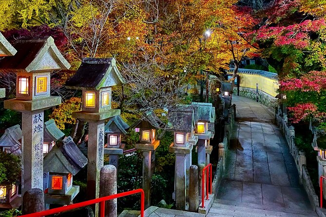 Hidden Gems of Osaka Kyoto Nara - Private Car Tour by Local Guide - Timing, walking, and what to bring