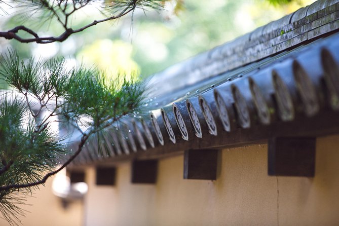 Hidden Kyoto E-Biking tour - Why this e-bike route shows you a different Kyoto