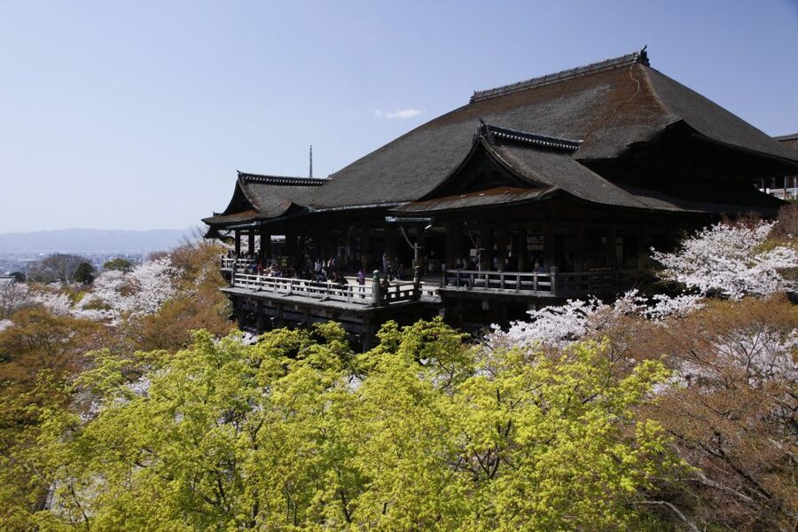 Higashiyama | Kyoto: Sakura Season Private Rickshaw Tour - Choosing the 120-minute option and Kiyomizu-Dera