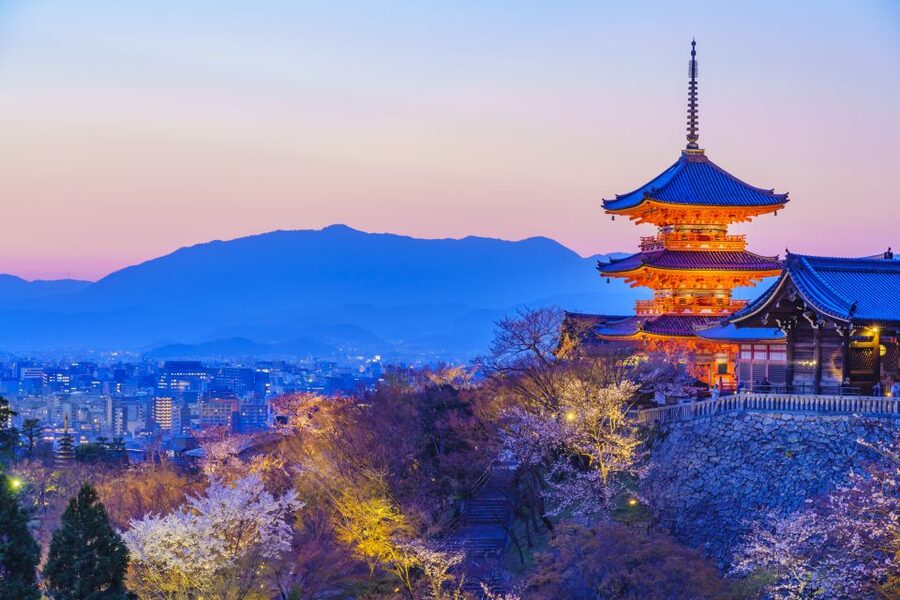 Higashiyama | Kyoto: Sakura Season Private Rickshaw Tour - Cherry blossoms and the limits of nature