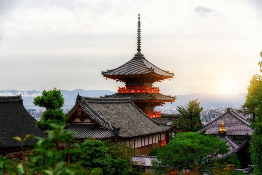 Higashiyama | Kyoto: Sakura Season Private Rickshaw Tour - Who will get the most from this ride