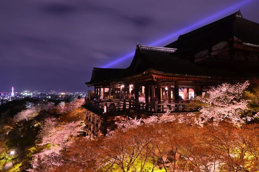 Higashiyama | Kyoto: Sakura Season Private Rickshaw Tour - Meeting at Ichinenzaka and Nene Street