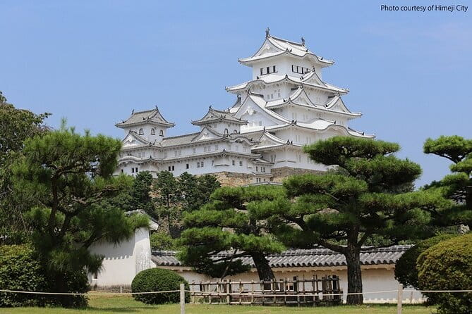Himeji Castle and Akashi Kaikyo Bridge Walking Tour from Kyoto - Key points at a glance