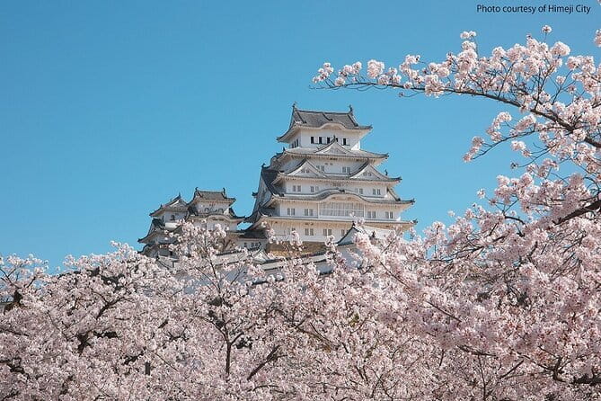 Himeji Castle and Akashi Kaikyo Bridge Walking Tour from Kyoto - Riding to Maiko and seeing the bridge from below
