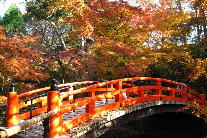 Historical Kyoto E-Bike Tour - The ride west toward Arashiyama
