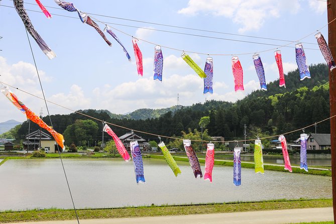 Japan's Rural Life & Nature: Private Half Day Cycling Near Kyoto - The former lake area is now rice country