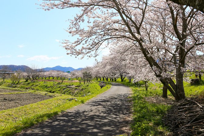 Japan's Rural Life & Nature: Private Half Day Cycling Near Kyoto - The train ride to Maibara sets the tone