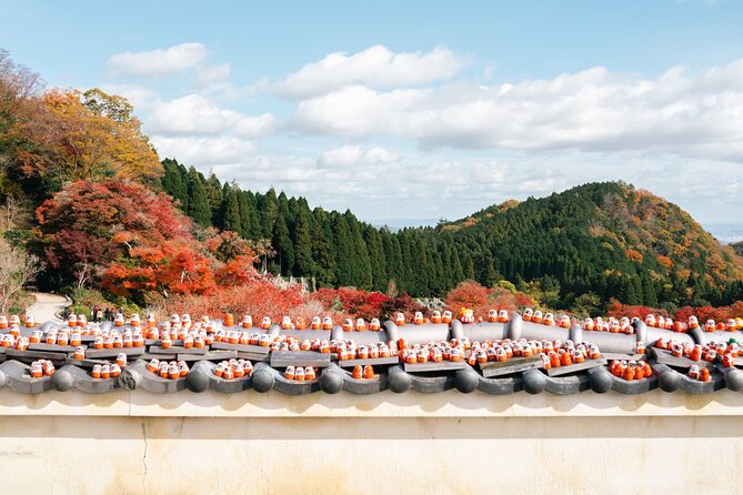 Katsuo-ji Temple, Arashiyama Forest, & Nara Park - Three famous Japanese stops in one long day