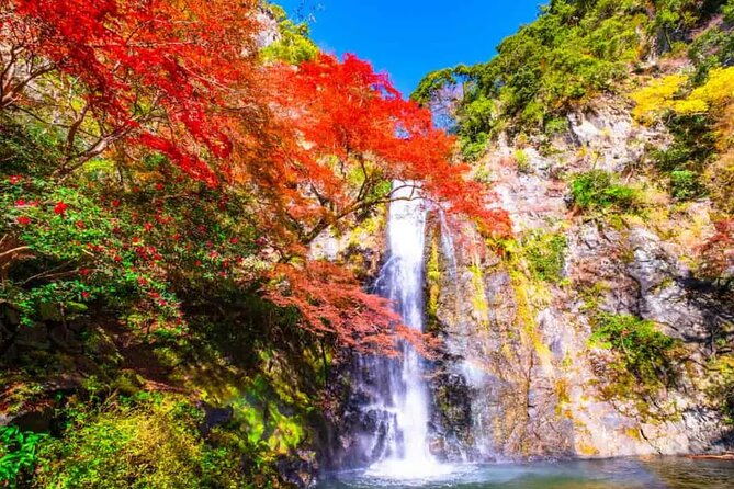 Katsuo-ji Temple, Arashiyama Forest, & Nara Park - Nara Park: deer, temples, and the day’s biggest reward