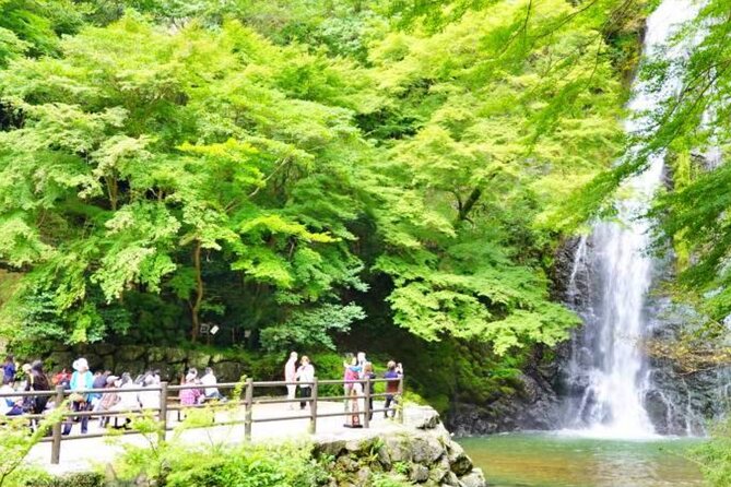 Katsuo-ji Temple, Arashiyama Forest, & Nara Park - A flexible format, but not always a guided tour