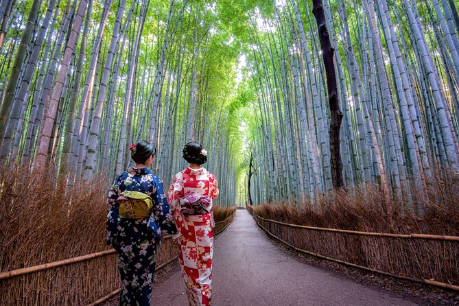 Katsuo-ji Temple, Arashiyama Forest, & Nara Park - Is $91.65 a fair price?