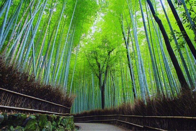 Katsuo-ji Temple, Arashiyama Forest, & Nara Park - Timing, group size, and the meeting point