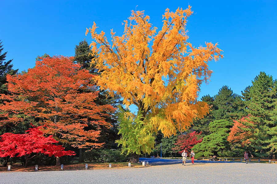 KIYOTO's Private E-cycling: Highlights & Hidden Gems - Two eastern temples: Konkai Komyo-ji and Shinnyo-do