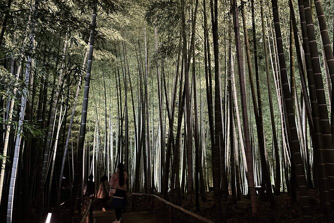 Kyoto 1 Day Golden Route Bus Tour - What the $71.85 Price Covers