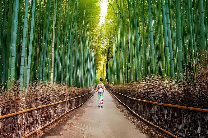 Kyoto 1 Day Suntory Yamazaki Distillery Tour and Asahi Art Museum - Is $163.30 a fair price?