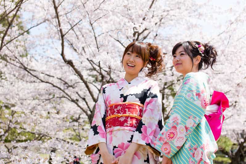 Kyoto: 1 Day Traditional Japanese Kimono Rental Experience - What the basic price really includes