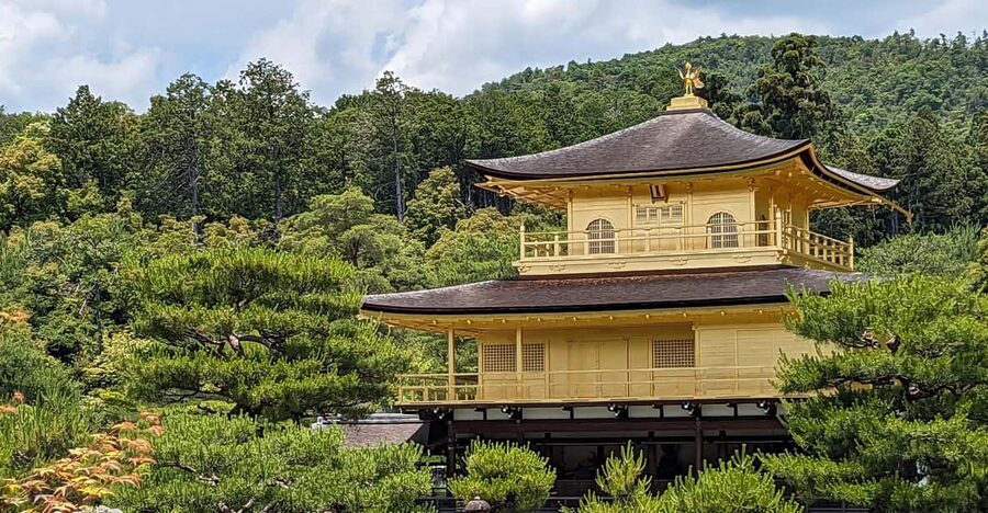 Kyoto: 100% Private Custom Walking Tour (4/8 Hrs) - A Kyoto day built around your priorities